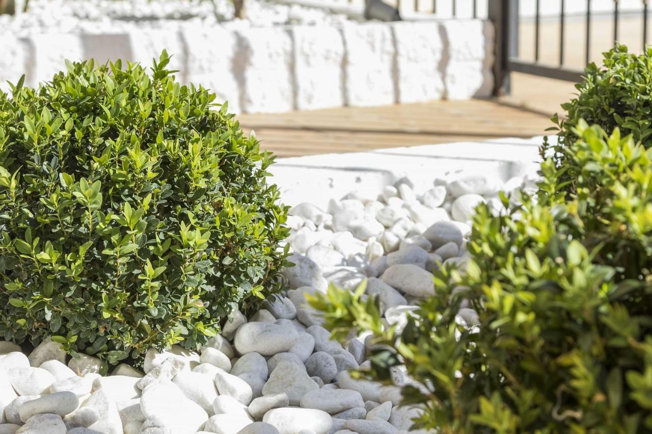 Calmo Singular Apartments Gandía Εξωτερικό φωτογραφία