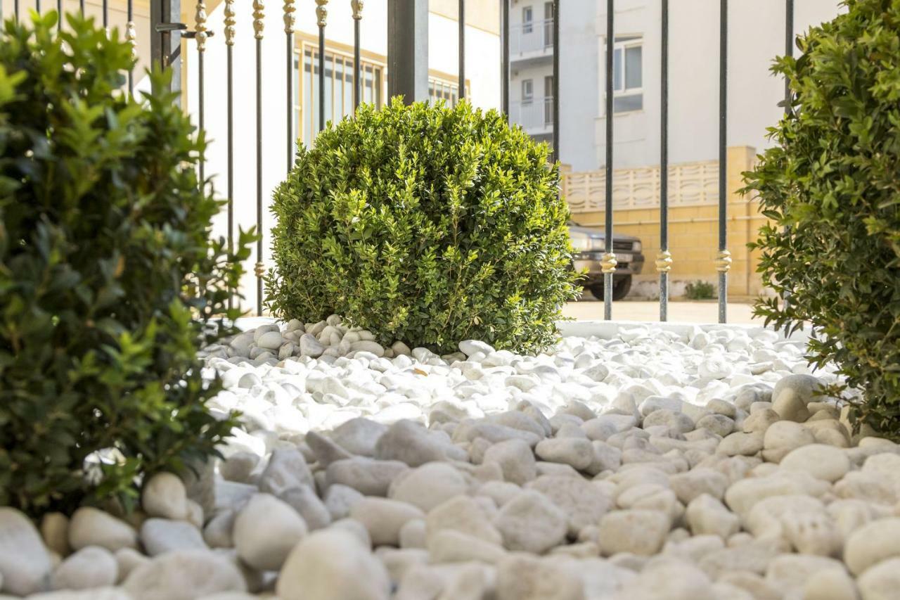 Calmo Singular Apartments Gandía Εξωτερικό φωτογραφία